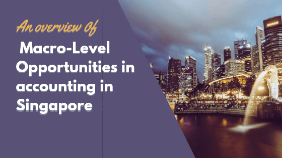 An Overview of Macro-Level Opportunities in Accountancy in Singapore