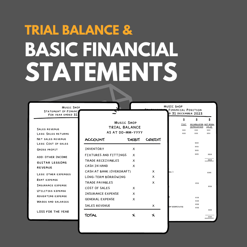Trial Balance and Basic Financial Statements